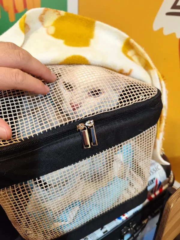 Transporte Seu Gato com Segurança