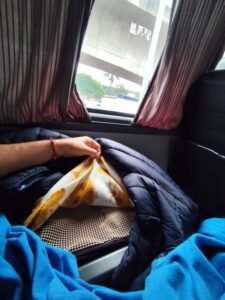 Lucky usando caixa de transporte – como transportar gato com segurança manta