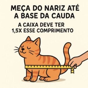 Exemplo de como medir seu gato - para caixa de areia ideal. A caixa deve ter uma medida e meia do corpo do gato, ou seja, se ele mede 40 cm, o ideal é uma caixa de 60 cm.