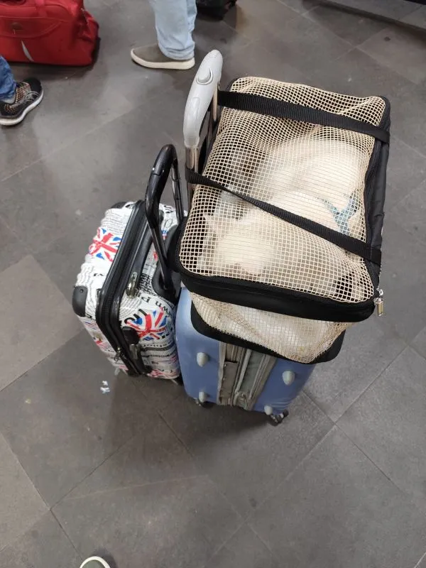 Malas inicio da viagem a italia