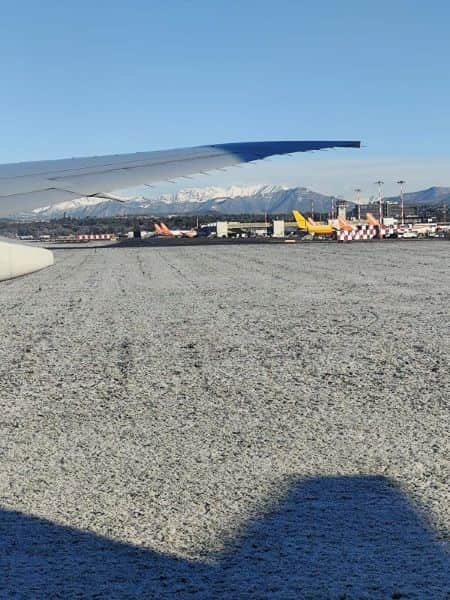 Chegada do Lucky na Itália - Site Gato Artista